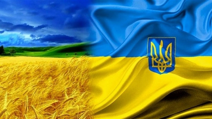 Співпраця з ЗВО України