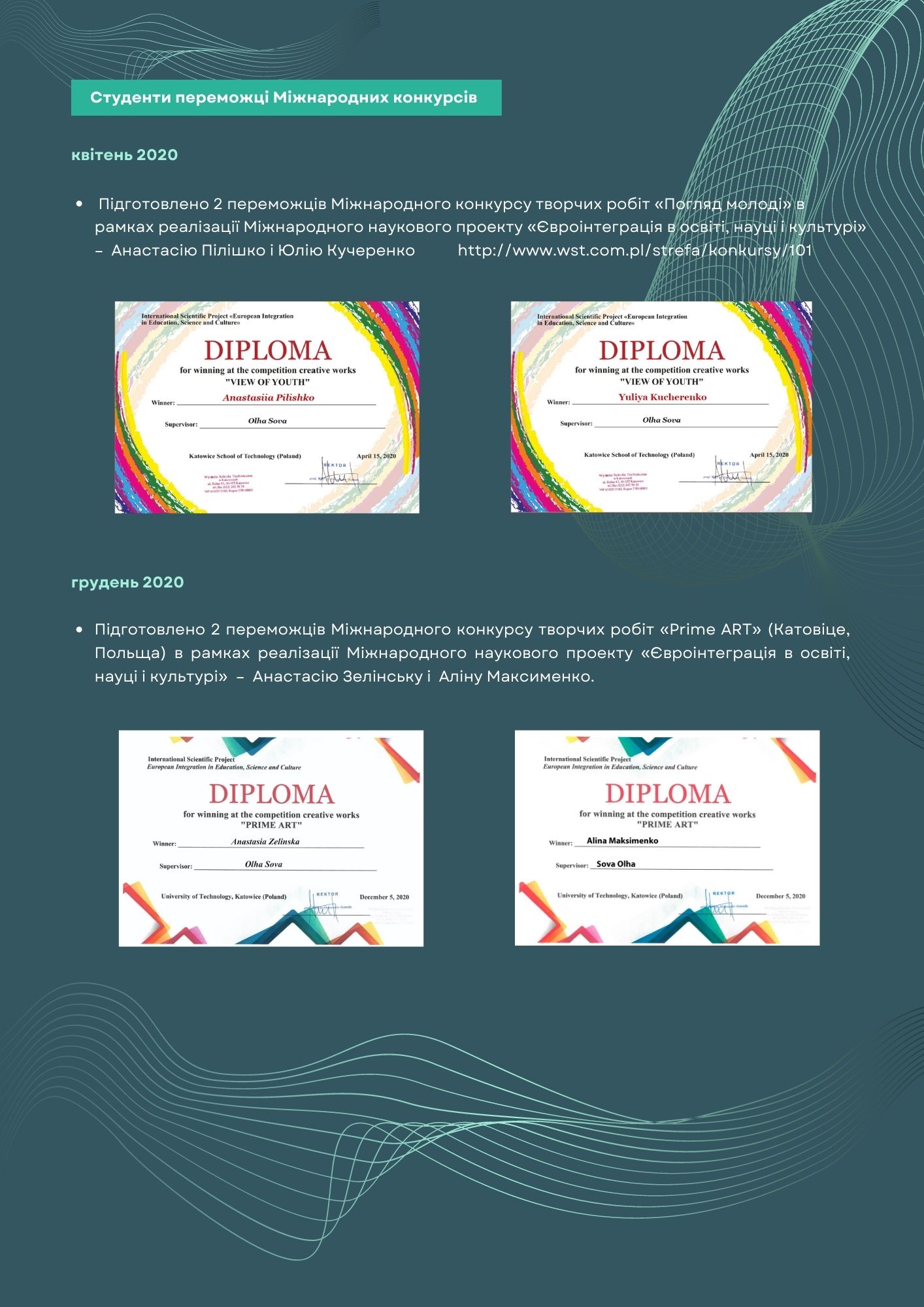 Портфоліо Шевнюк с 1