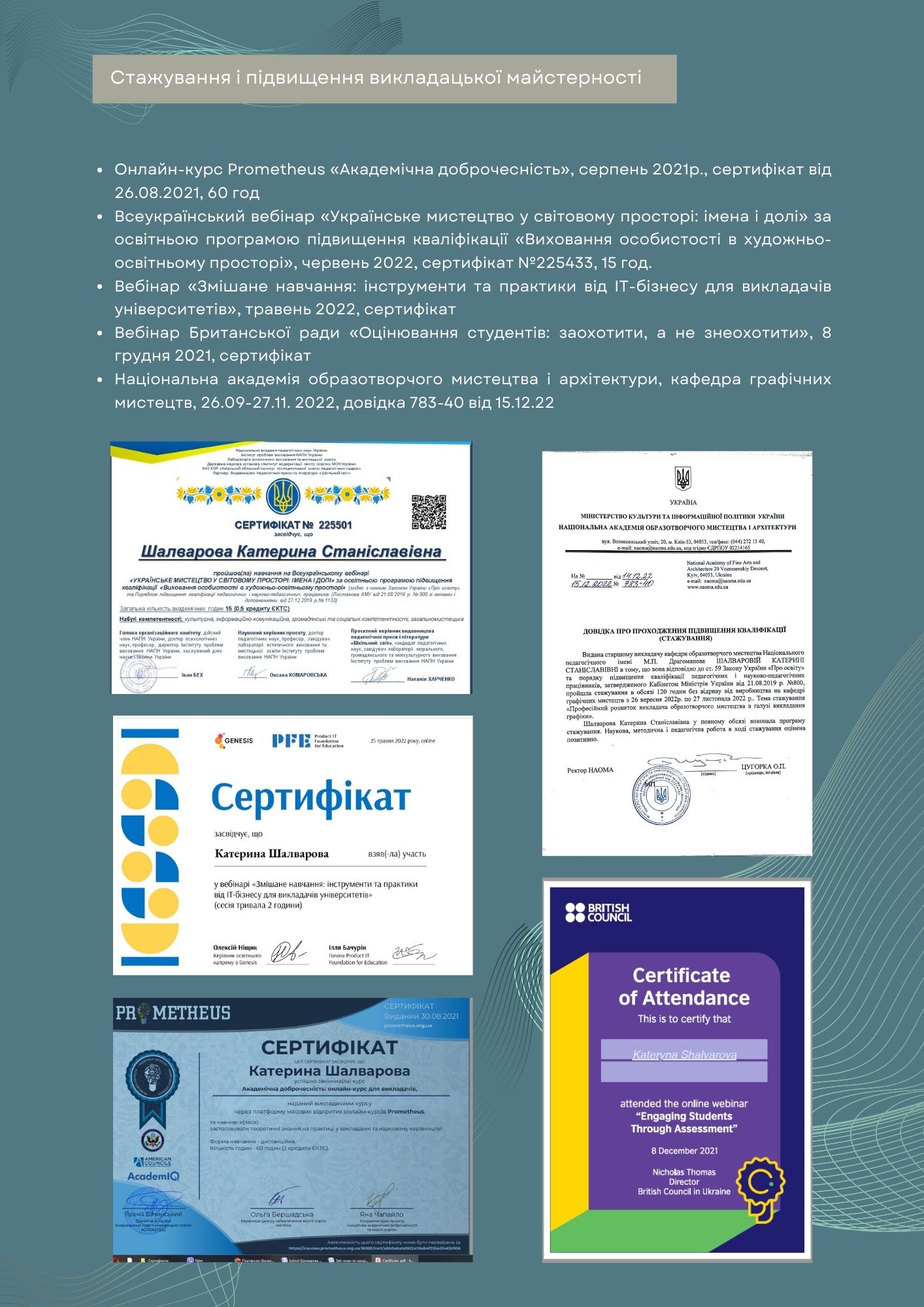 Портфоліо Шевнюк с 1