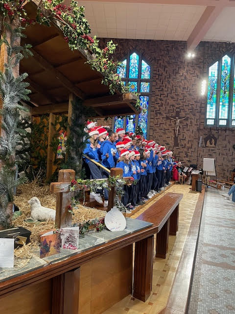 Стажування в Ірландії ПФ 2024