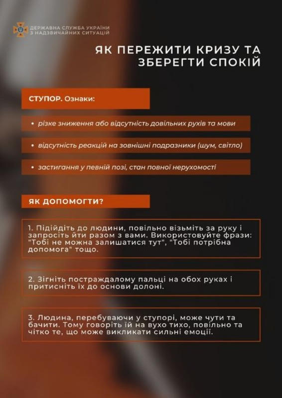 рекомендації ДСНСУ 1